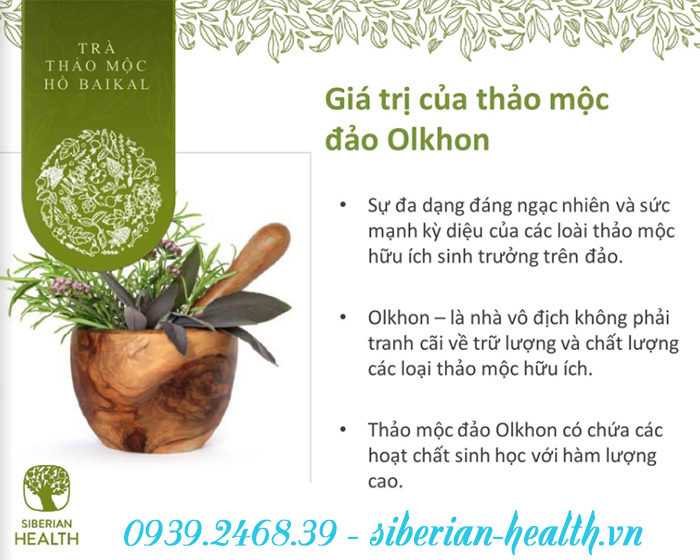 Thực phẩm bảo vệ sức khỏe Trà thảo mộc Baikal tea collection Herbal tea Number 1